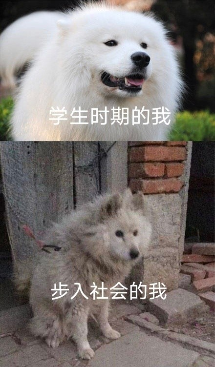 雙非大三，績(jī)點(diǎn)低，想去香港留學(xué)來(lái)得及嗎？怎么補(bǔ)救？
