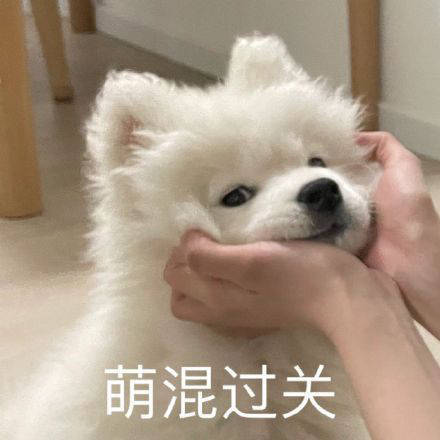 雙非大三，績(jī)點(diǎn)低，想去香港留學(xué)來(lái)得及嗎？怎么補(bǔ)救？