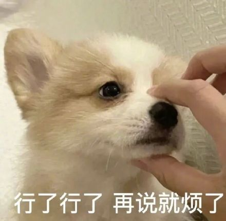 雙非大三，績(jī)點(diǎn)低，想去香港留學(xué)來(lái)得及嗎？怎么補(bǔ)救？