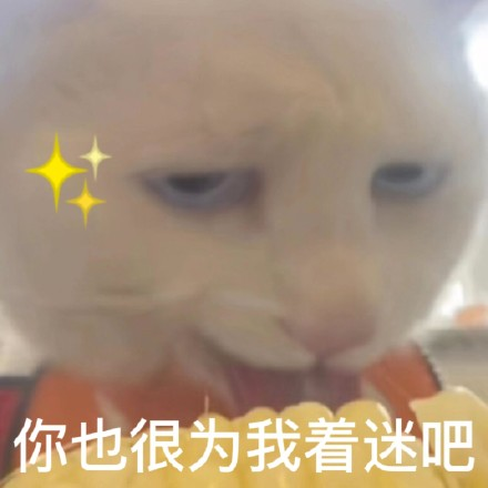 雙非大三，績(jī)點(diǎn)低，想去香港留學(xué)來(lái)得及嗎？怎么補(bǔ)救？